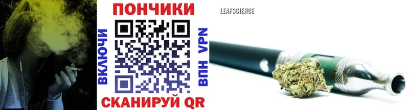 Бошки Шишки гибрид  ссылка на мегу маркетплейс  Куса 